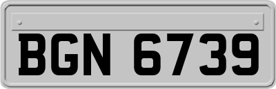 BGN6739