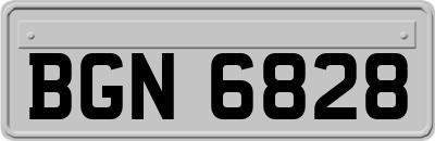 BGN6828
