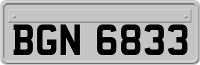 BGN6833