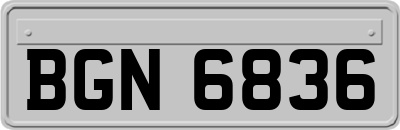 BGN6836