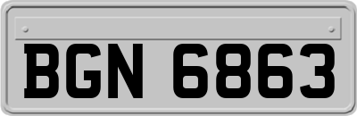 BGN6863