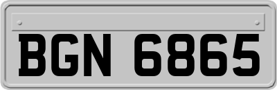 BGN6865