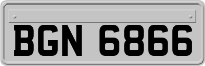 BGN6866