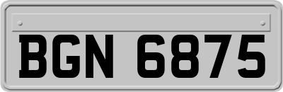 BGN6875