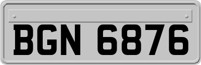 BGN6876