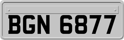 BGN6877