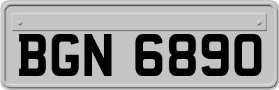 BGN6890