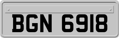 BGN6918
