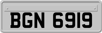 BGN6919