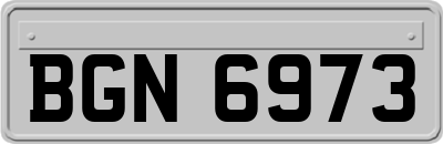 BGN6973