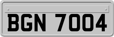 BGN7004