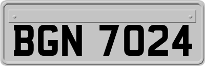 BGN7024