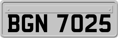 BGN7025