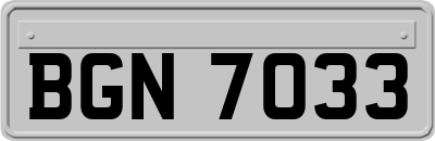 BGN7033