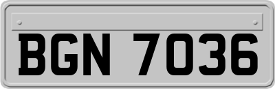 BGN7036