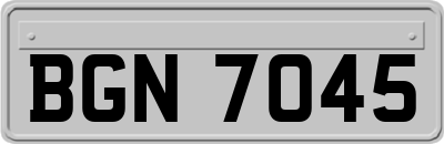 BGN7045