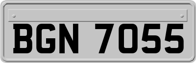 BGN7055
