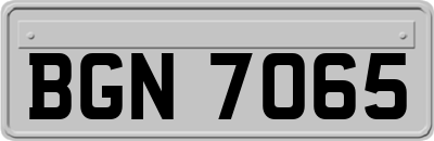 BGN7065