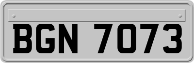 BGN7073