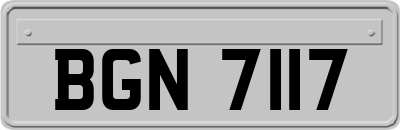 BGN7117