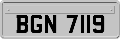 BGN7119