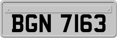 BGN7163