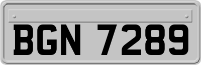 BGN7289