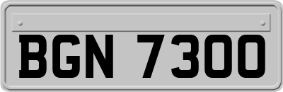 BGN7300
