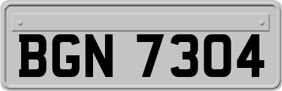 BGN7304