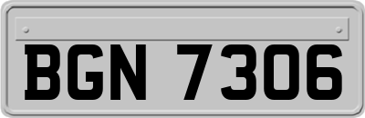 BGN7306