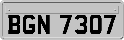 BGN7307