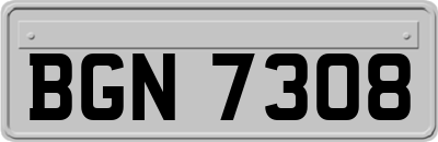 BGN7308