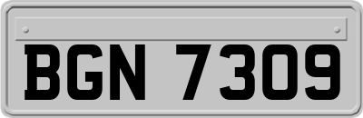 BGN7309