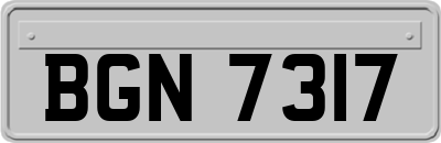 BGN7317