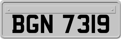 BGN7319
