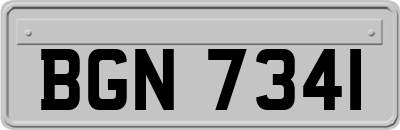 BGN7341