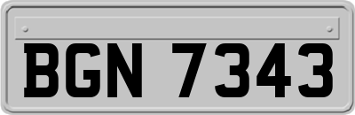 BGN7343