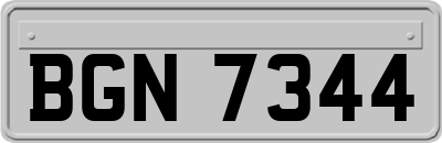 BGN7344