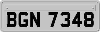 BGN7348