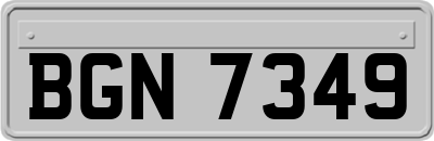 BGN7349