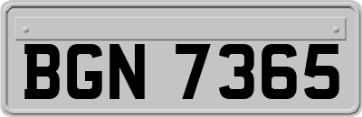 BGN7365