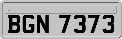 BGN7373