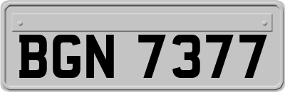 BGN7377