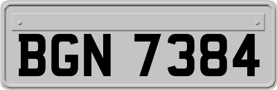 BGN7384