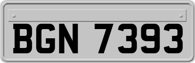 BGN7393
