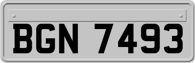 BGN7493