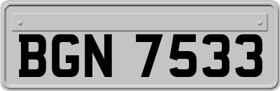 BGN7533