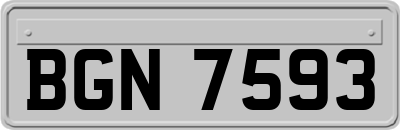 BGN7593