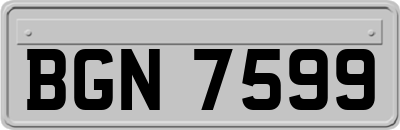 BGN7599
