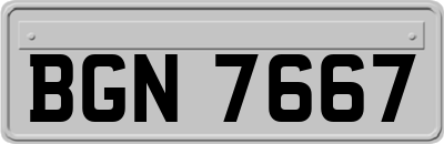 BGN7667